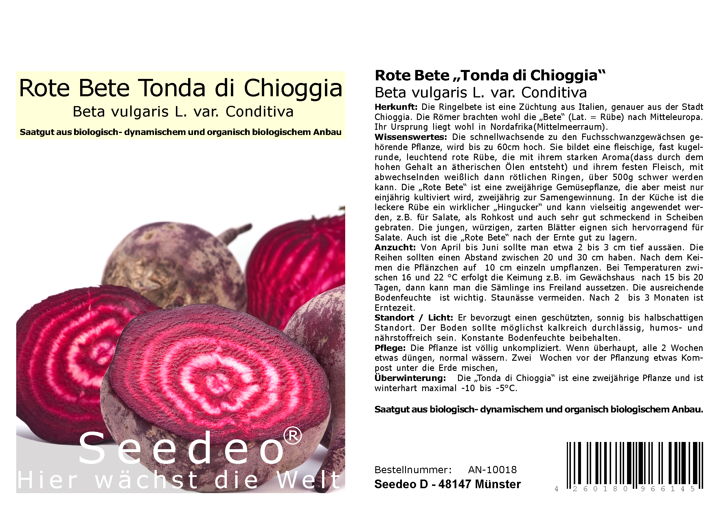 Seedeo® Rote Bete „Tonda di Chioggia“ (Beta vulgaris L. var. Conditiva) ca. 150 Samen BIO