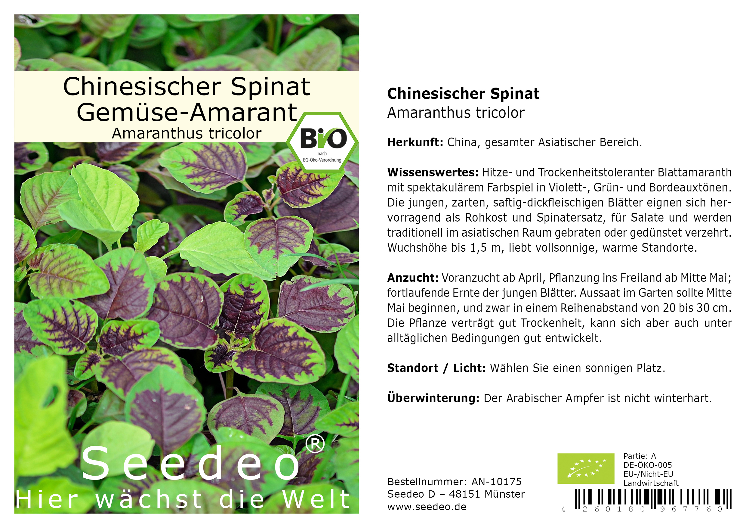 Chinesischer Spinat Amaranthus tricolor