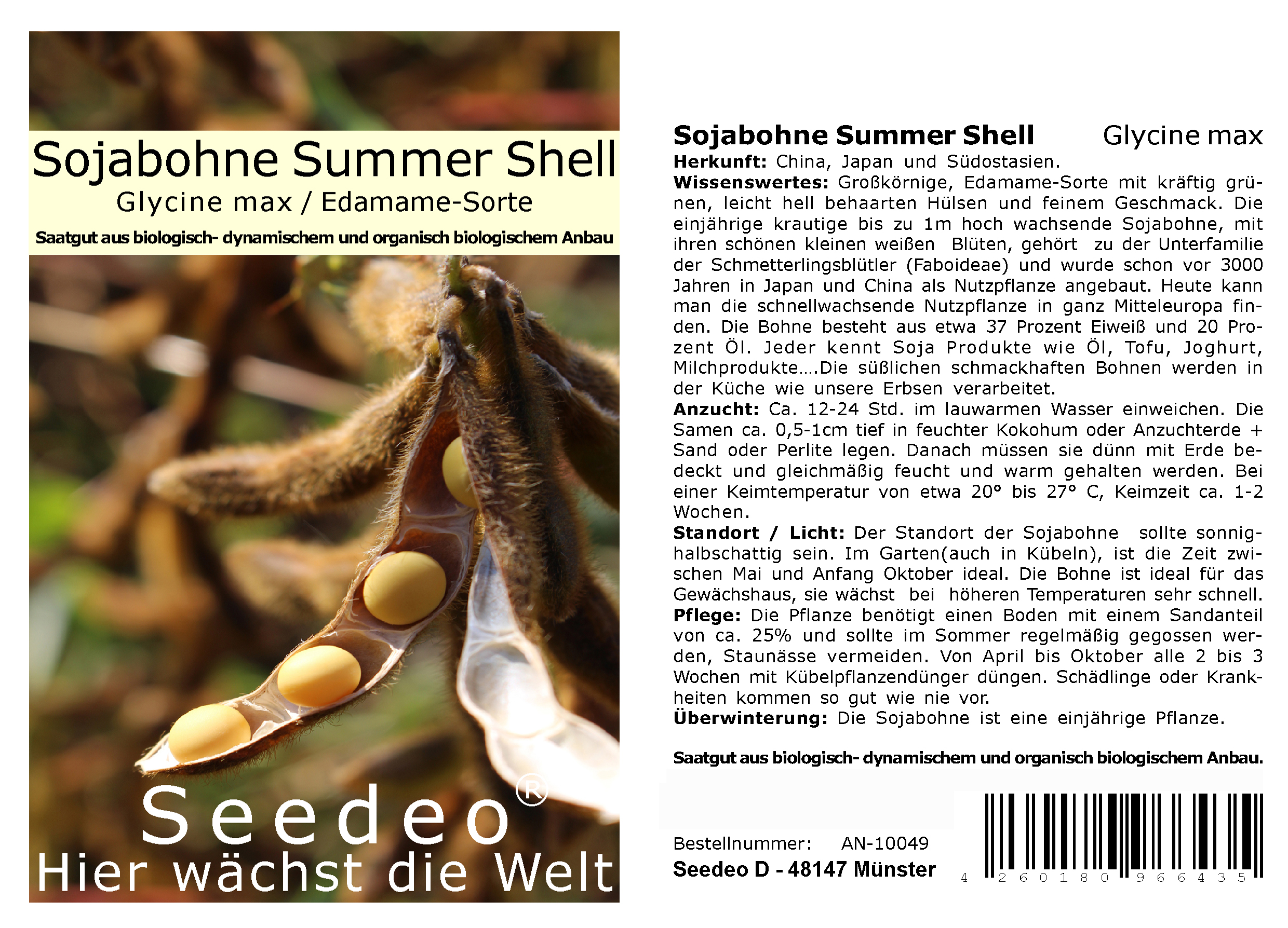 Seedeo® Sojabohne Summer Shell ( Glycine max ) Edamame-Sorte  30 Samen BIO