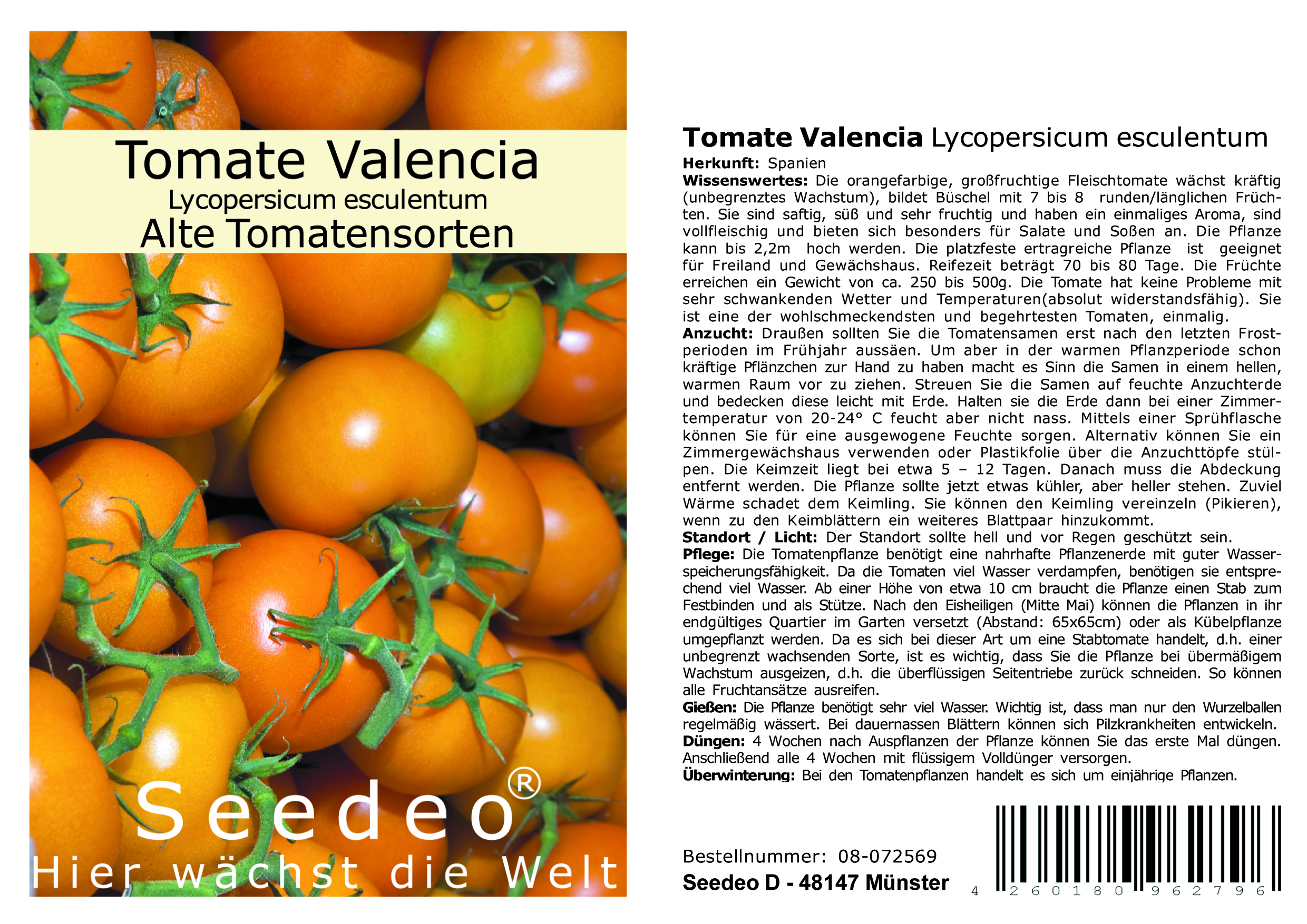 Seedeo® Tomate Valencia (Lycopersicum esculentum) 25 Samen BIO