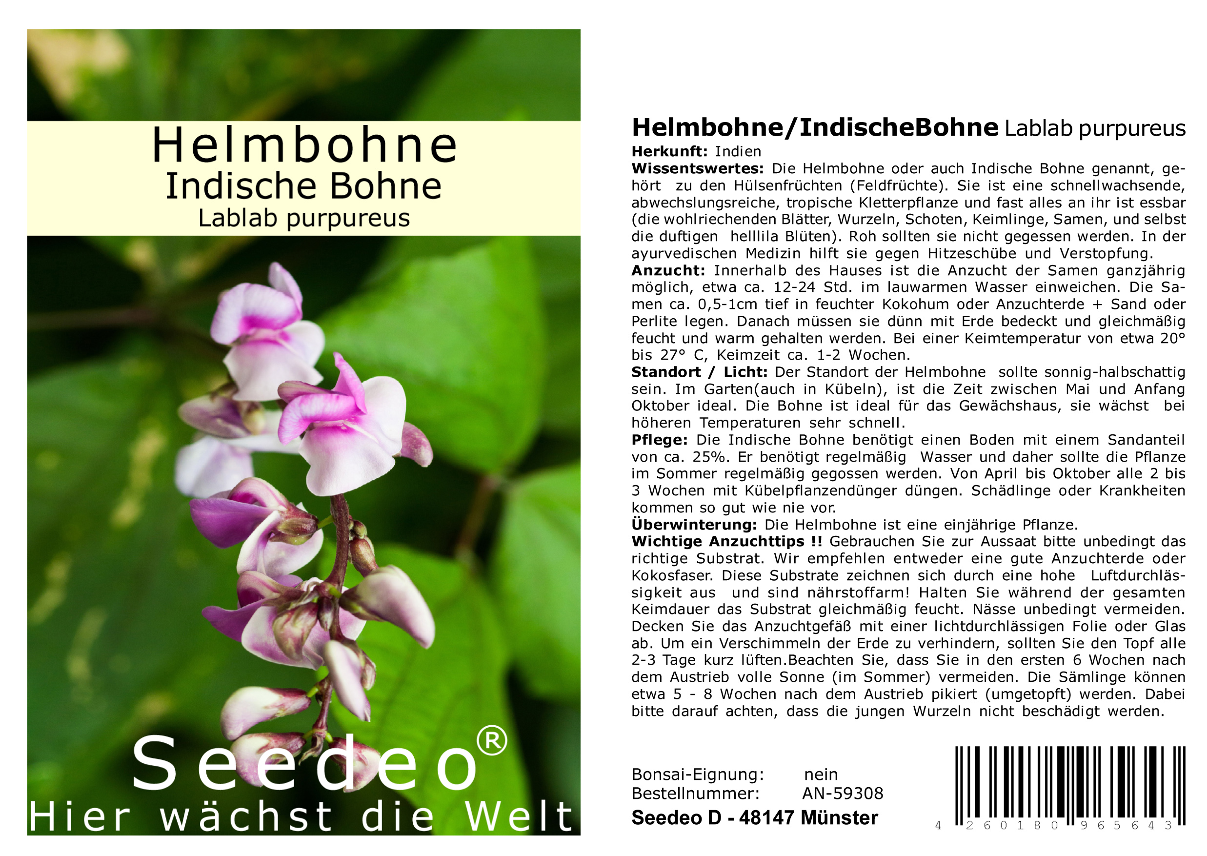 Seedeo® Helmbohne/IndischeBohne (Lablab purpureus) 30 Samen