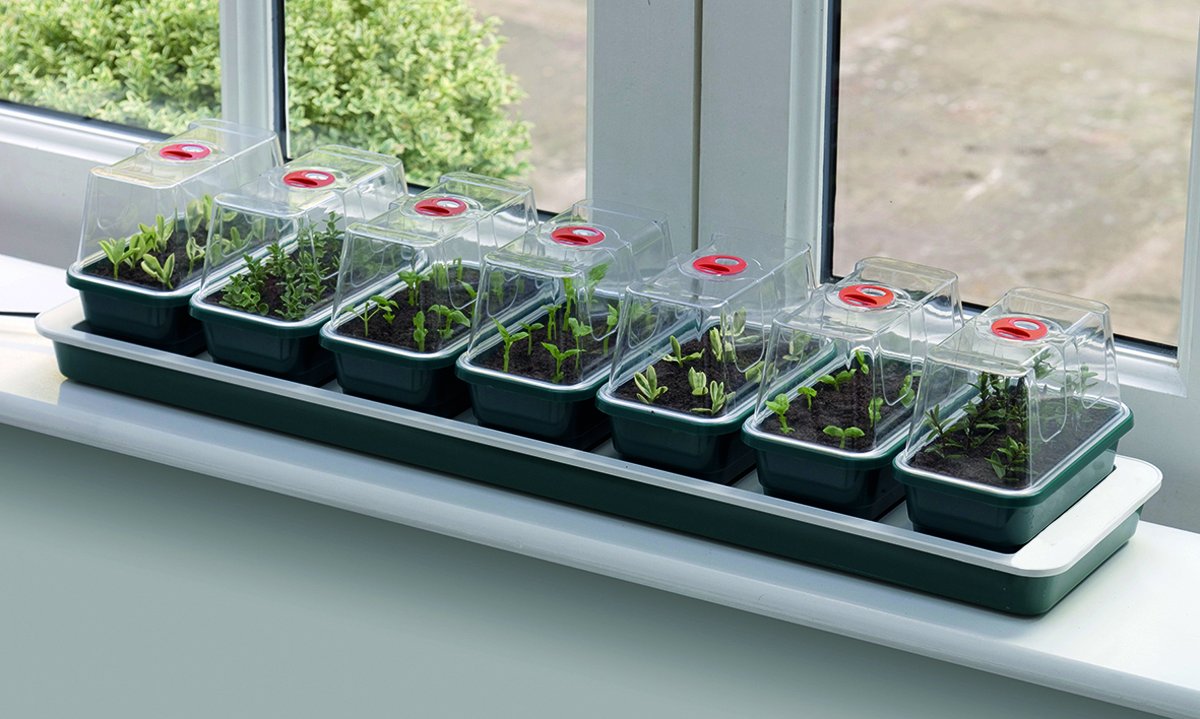 Seedeo® Beheizbare Mini-Gärtnerei mit 7 kleinen Gewächshäusern + 3 Liter Anzuchterde + 2 Samenproben