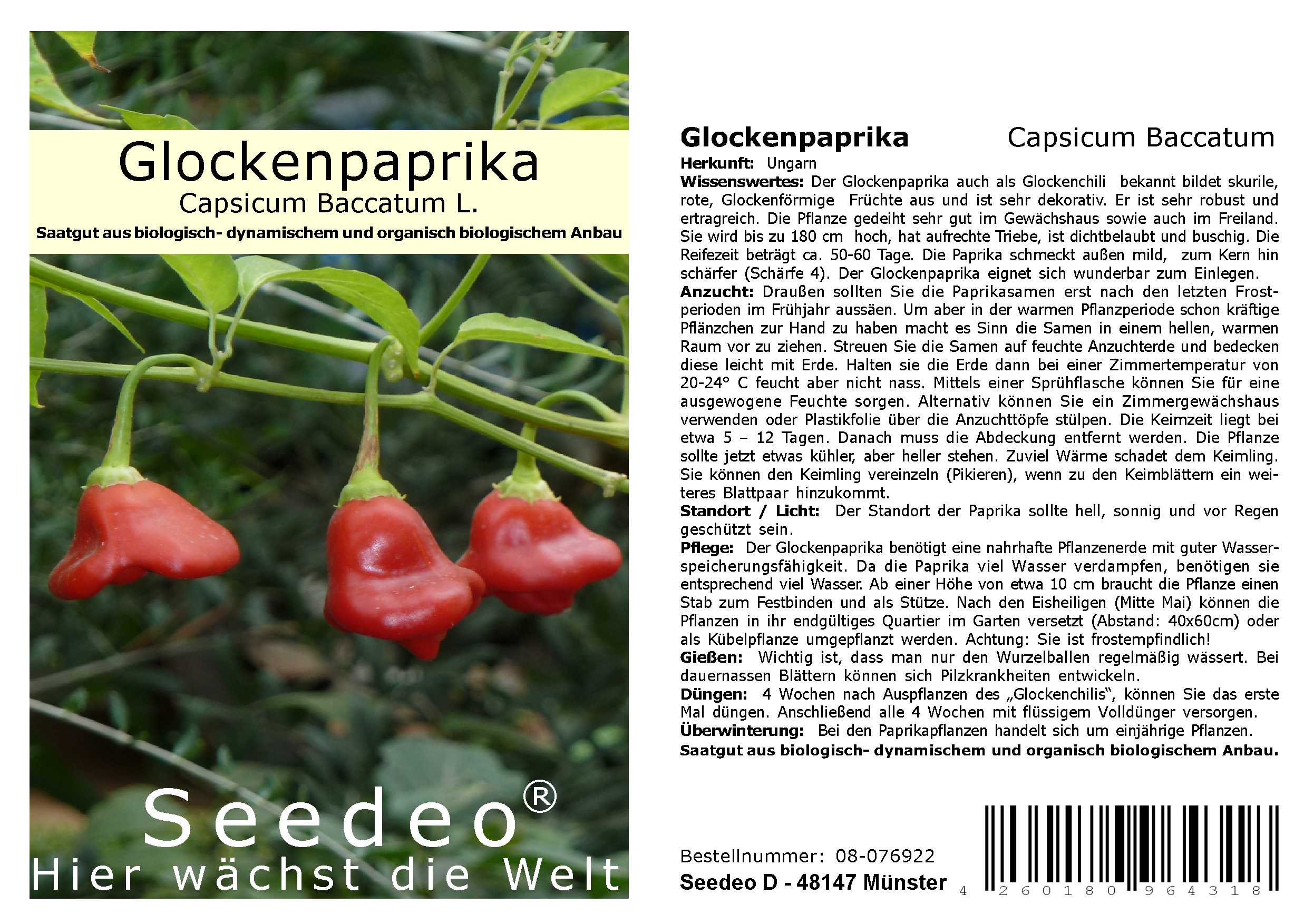 Seedeo® Glockenpaprika (capsicum baccatum L.) Samen BIO
