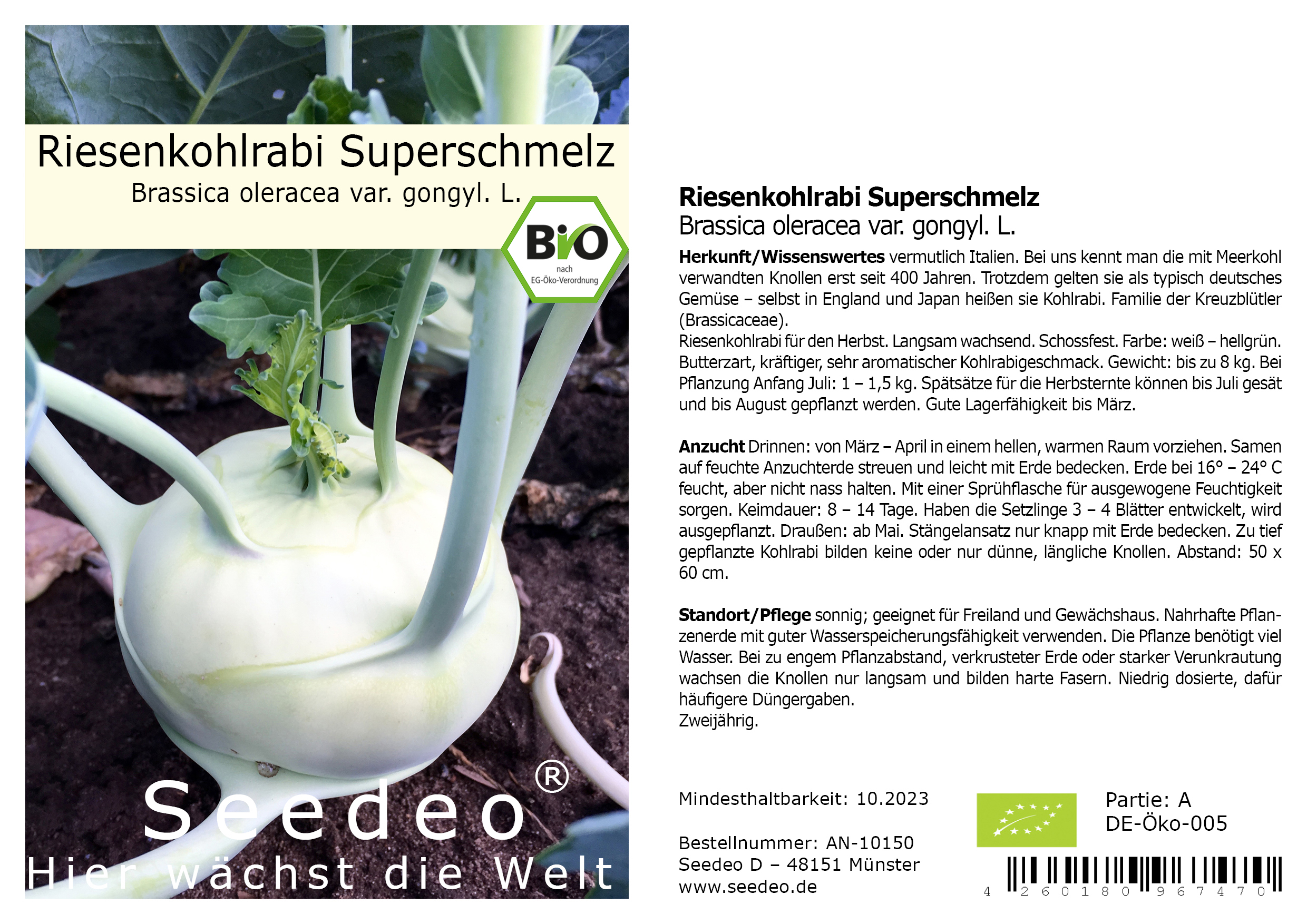 Seedeo® Kohlrabi Superschmelz (Brassica oleracea var. gongyl. L.) ca. 100 Samen BIO