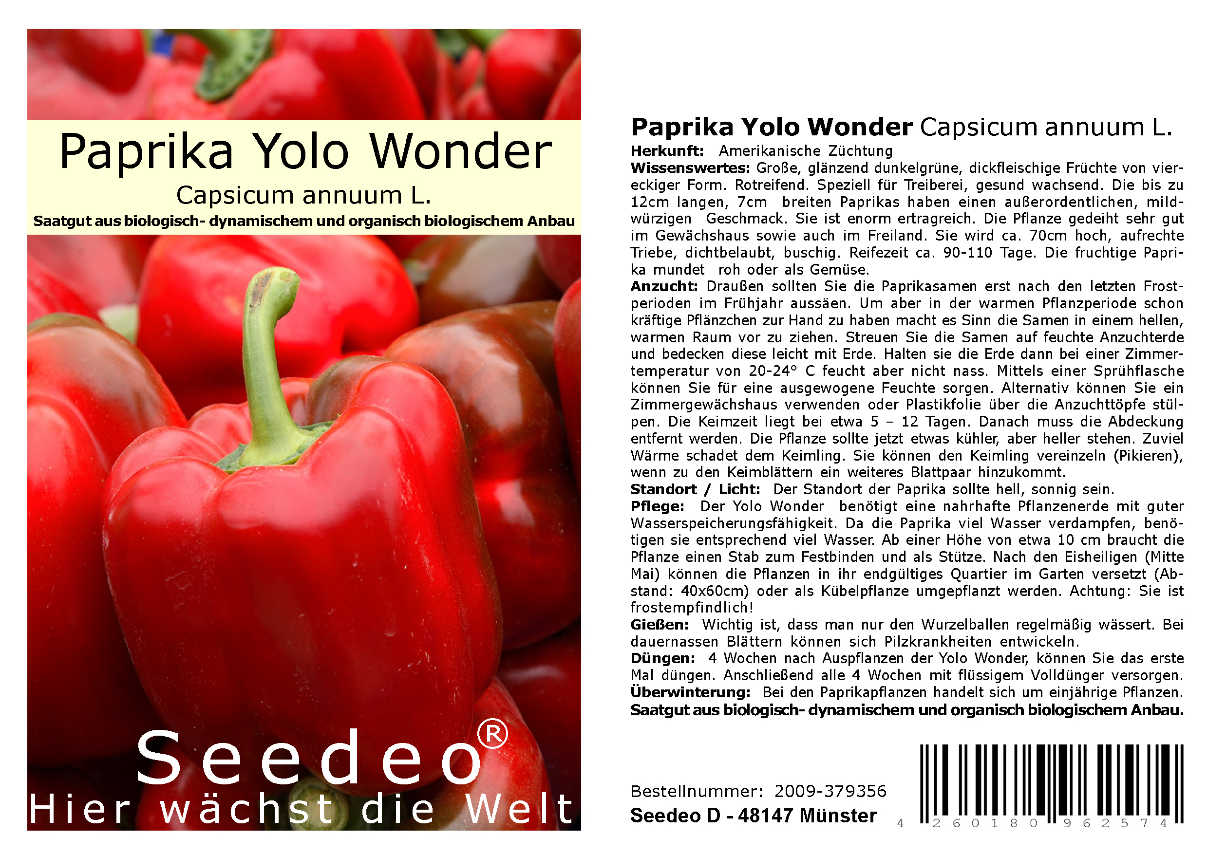 Seedeo® Paprika Yolo Wonder (Capsicum annuum L.) 30 Samen BIO