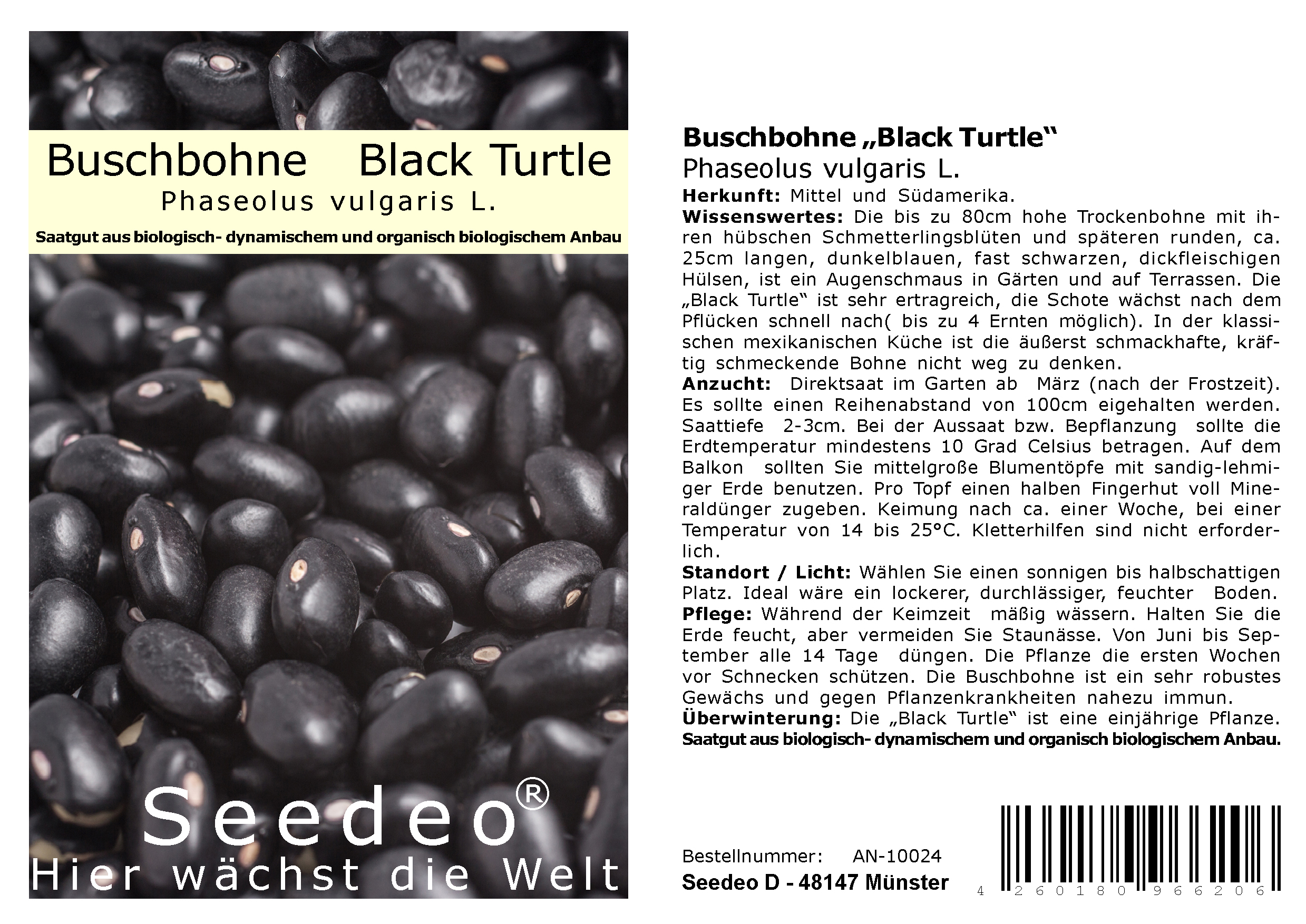 Seedeo® Buschbohne „Black Turtle“ (Phaseolus vulgaris L.) ca. 30 Samen BIO