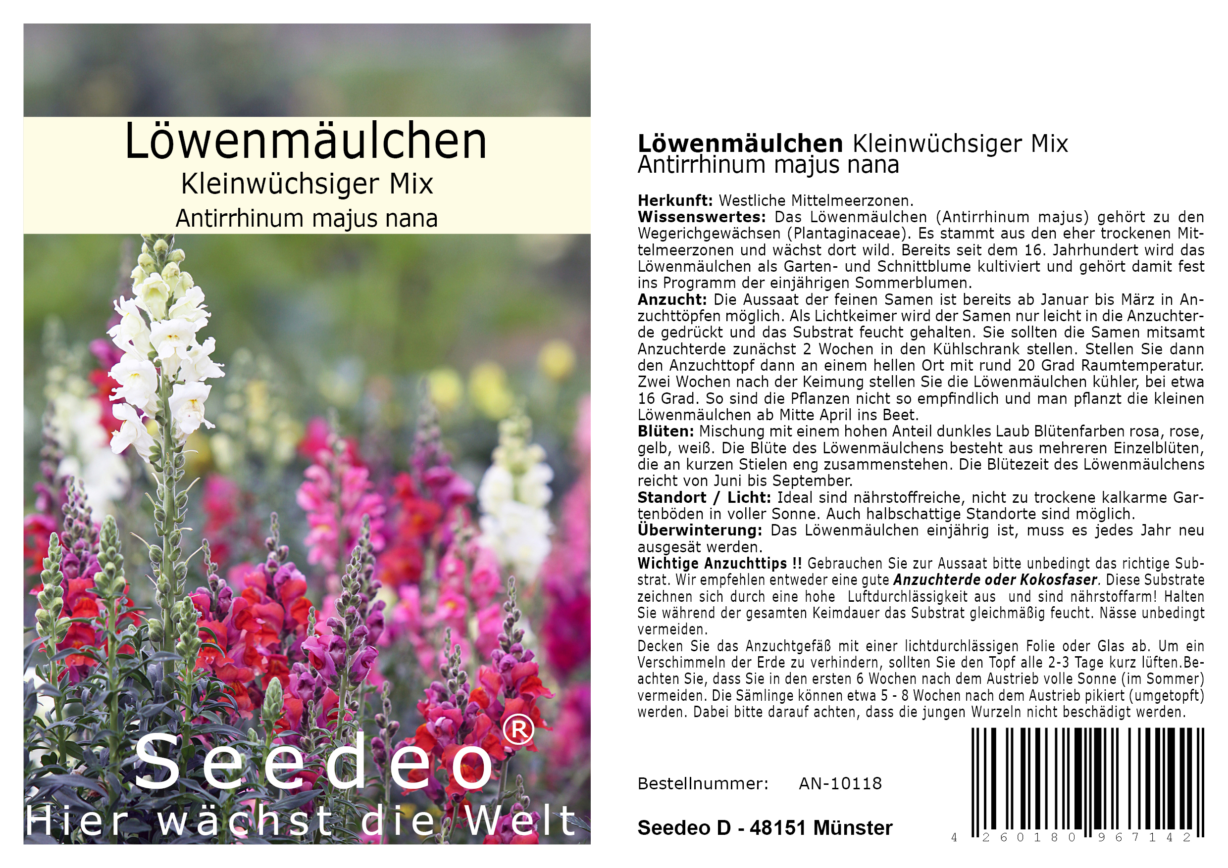 Seedeo® Löwenmäulchen Kleinwüchsiger Mix (Antirrhinum majus nana) 500 Samen