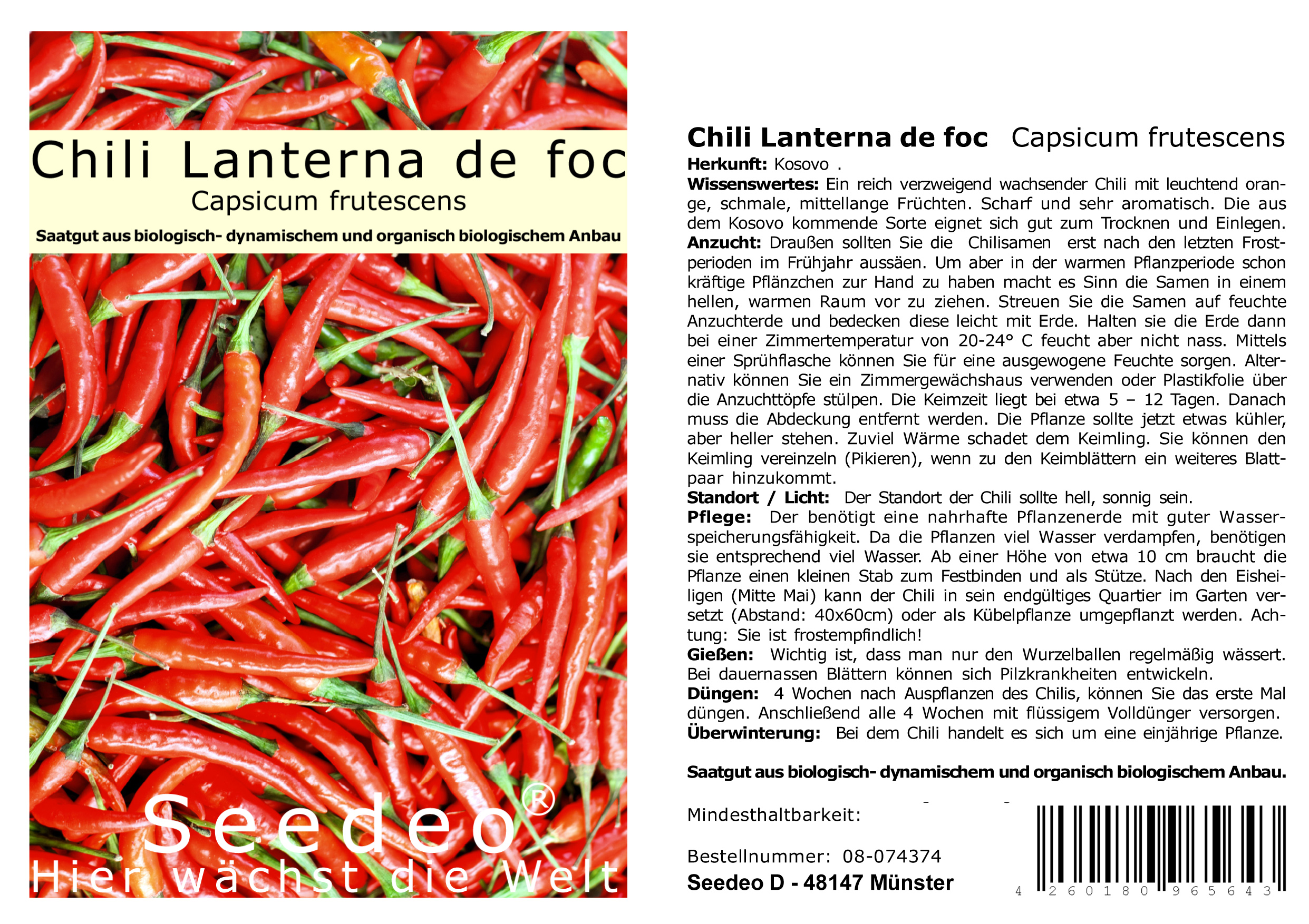 Seedeo® Chili Lanterna de foc (capsicum annuum) 30 Samen BIO