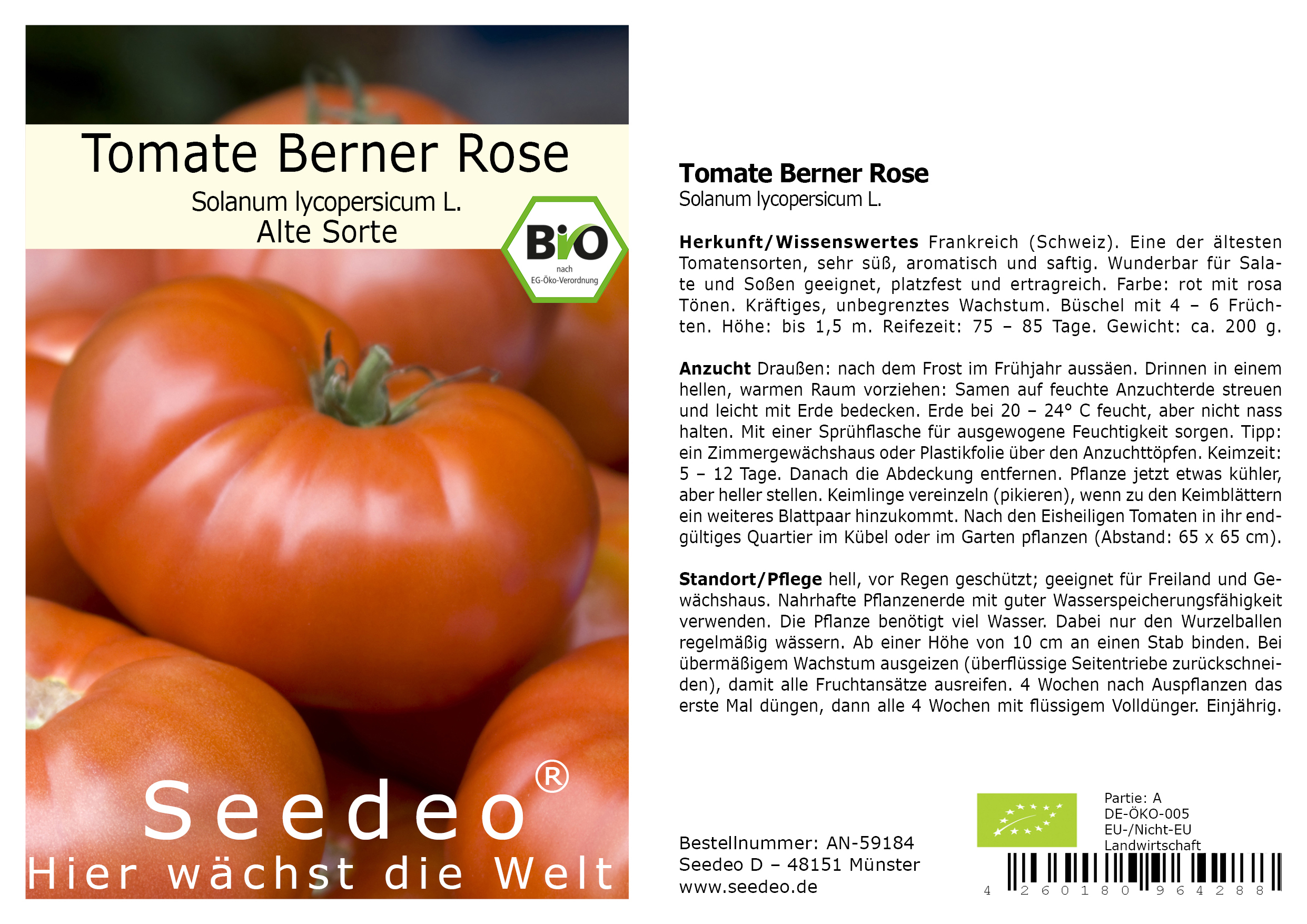 Seedeo® Tomate Berner Rose (Lycopersicum L.)  25 Samen BIO