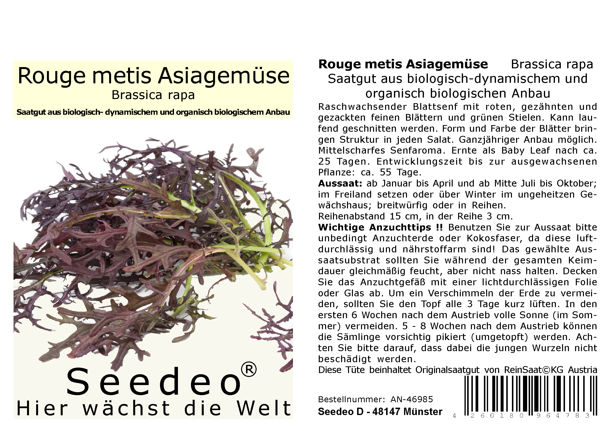 Seedeo® Rouge metis Asiagemüse  (Brassica rapa)   ca. 500 Samen BIO